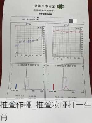 推聋作哑_推聋妆哑打一生肖