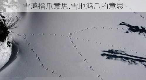 雪鸿指爪意思,雪地鸿爪的意思