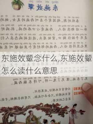 东施效颦念什么,东施效颦怎么读什么意思