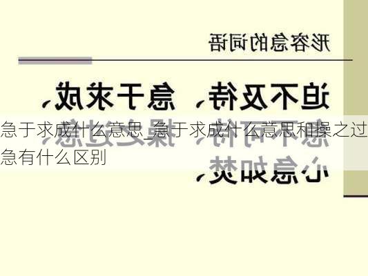 急于求成什么意思_急于求成什么意思和操之过急有什么区别