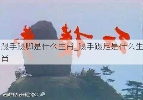 蹑手蹑脚是什么生肖_蹑手蹑足是什么生肖