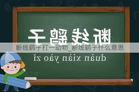 断线鹞子打一动物_断线鹞子什么意思