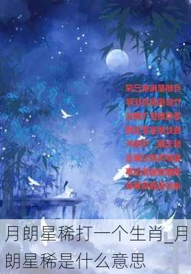 月朗星稀打一个生肖_月朗星稀是什么意思