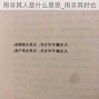 用非其人是什么意思_用非其时也