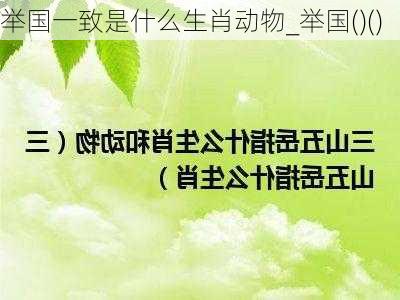 举国一致是什么生肖动物_举国()()