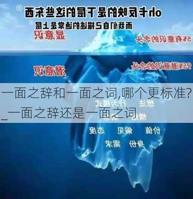 一面之辞和一面之词,哪个更标准?_一面之辞还是一面之词