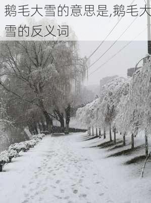 鹅毛大雪的意思是,鹅毛大雪的反义词