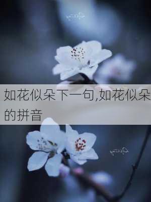 如花似朵下一句,如花似朵的拼音