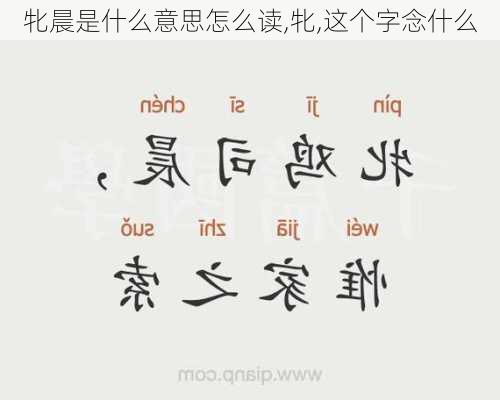 牝晨是什么意思怎么读,牝,这个字念什么