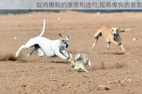 捉鸡撵狗的意思和造句,捉鸡撵狗的意思