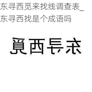 东寻西觅来找线调查表_东寻西找是个成语吗