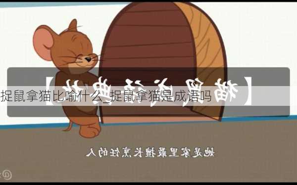 捉鼠拿猫比喻什么_捉鼠拿猫是成语吗