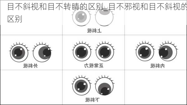 目不斜视和目不转睛的区别_目不邪视和目不斜视的区别