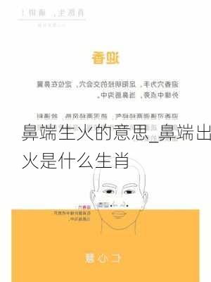 鼻端生火的意思_鼻端出火是什么生肖