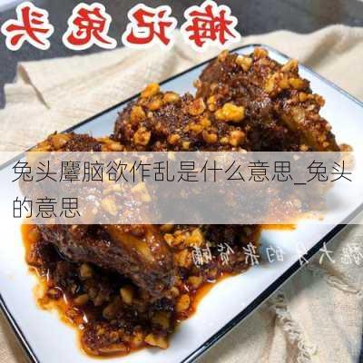 兔头麞脑欲作乱是什么意思_兔头的意思