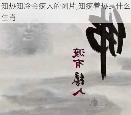 知热知冷会疼人的图片,知疼着热是什么生肖