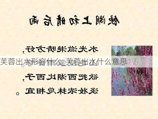 芙蓉出水形容什么_芙蓉出水什么意思