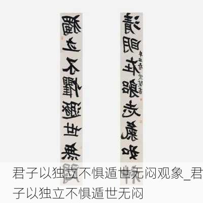 君子以独立不惧遁世无闷观象_君子以独立不惧遁世无闷