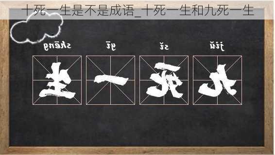 十死一生是不是成语_十死一生和九死一生