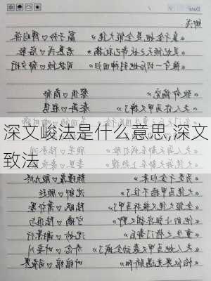 深文峻法是什么意思,深文致法