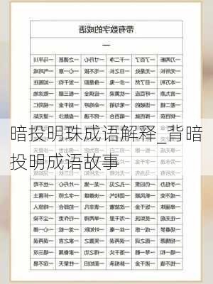 暗投明珠成语解释_背暗投明成语故事