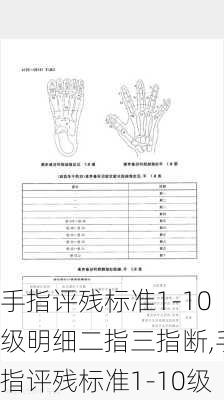 手指评残标准1-10级明细二指三指断,手指评残标准1-10级