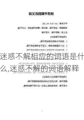 迷惑不解相应的词语是什么,迷惑不解的词语解释