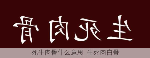 死生肉骨什么意思_生死肉白骨