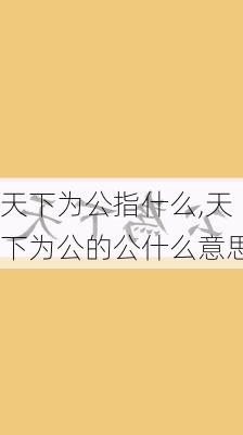 天下为公指什么,天下为公的公什么意思