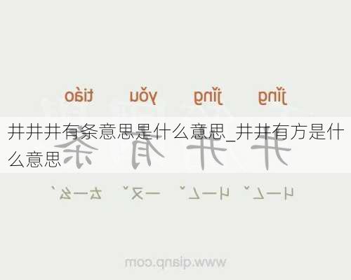 井井井有条意思是什么意思_井井有方是什么意思