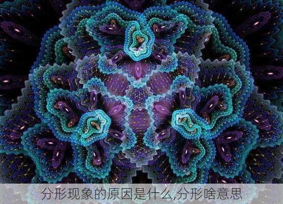 分形现象的原因是什么,分形啥意思