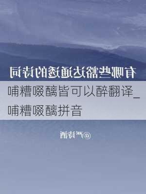 哺糟啜醨皆可以醉翻译_哺糟啜醨拼音