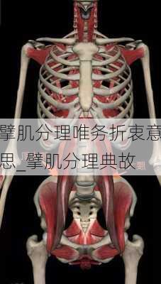 擘肌分理唯务折衷意思_擘肌分理典故