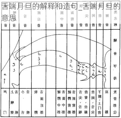 舌端月旦的解释和造句_舌端月旦的意思