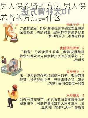 男人保养肾的方法,男人保养肾的方法是什么