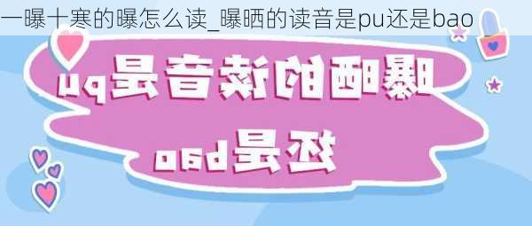 一曝十寒的曝怎么读_曝晒的读音是pu还是bao