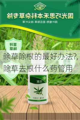 除草除根的最好办法?,除草去根什么药管用