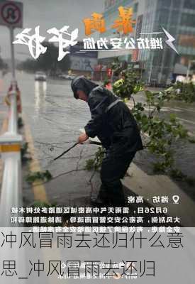 冲风冒雨去还归什么意思_冲风冒雨去还归