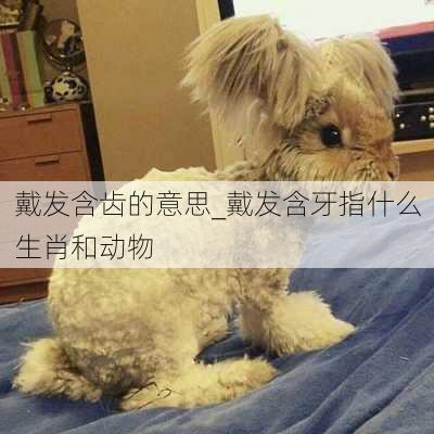 戴发含齿的意思_戴发含牙指什么生肖和动物