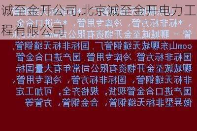 诚至金开公司,北京诚至金开电力工程有限公司