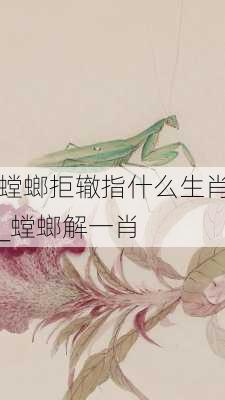 螳螂拒辙指什么生肖_螳螂解一肖