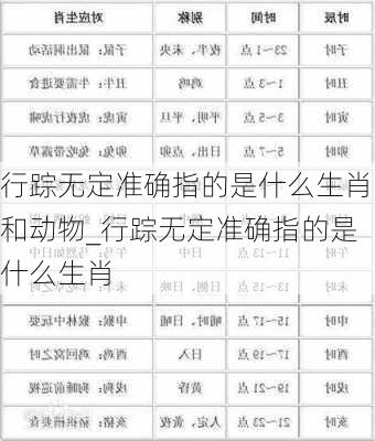 行踪无定准确指的是什么生肖和动物_行踪无定准确指的是什么生肖