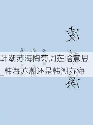 韩潮苏海陶菊周莲啥意思_韩海苏潮还是韩潮苏海