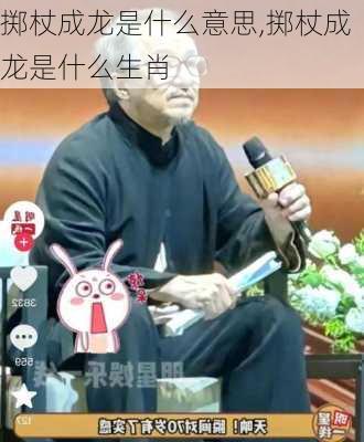 掷杖成龙是什么意思,掷杖成龙是什么生肖