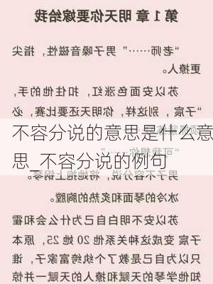 不容分说的意思是什么意思_不容分说的例句