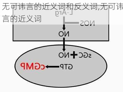 无可讳言的近义词和反义词,无可讳言的近义词