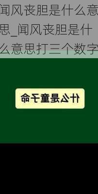 闻风丧胆是什么意思_闻风丧胆是什么意思打三个数字