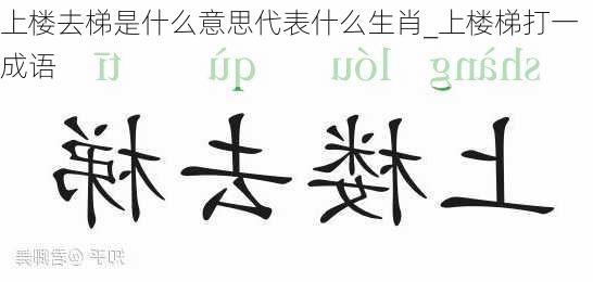 上楼去梯是什么意思代表什么生肖_上楼梯打一成语