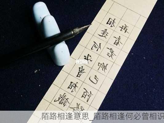 陌路相逢意思_陌路相逢何必曾相识