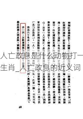 人亡政息是什么动物打一生肖_人亡政息的近义词